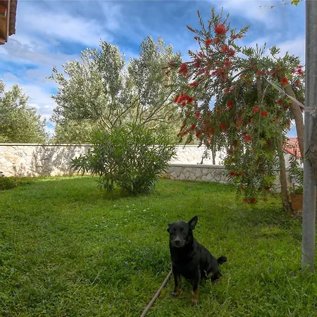 Camino * Kastela